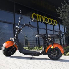 Citycoco V2 Family - LT018