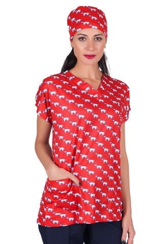 LABOR DRY TOUCH Kadın Desenli Cerrahi Forma Tek Üst - Model 12