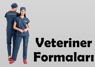 Veteriner Hekim Formaları