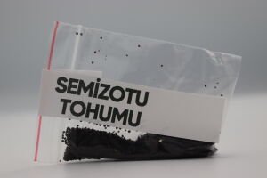 Semizotu Tohumu 4g