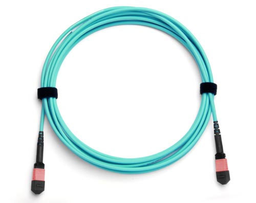 MPO(Female)-MPO(Female) Base-12 Multi-Mod Fiber Patch Cord OM3 Polarite B 3 Metre