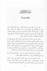 Eş-Şi'r ve'ş-Şuara fi Kitabi'l-Umde fi Mehasini'ş-Şi'r ve Adabihi ve Nekdihi li-İbn Rashik El-Kayravani سن الشعر وآدابه ونقده لأبن رشيق القيرواني