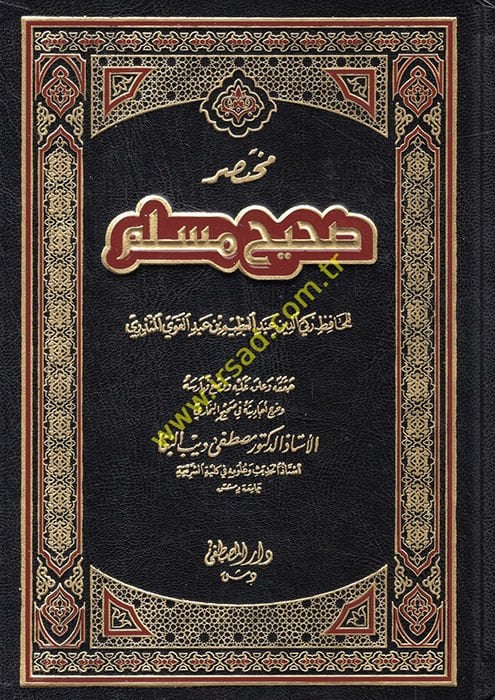 مختصر صحيح مسلم