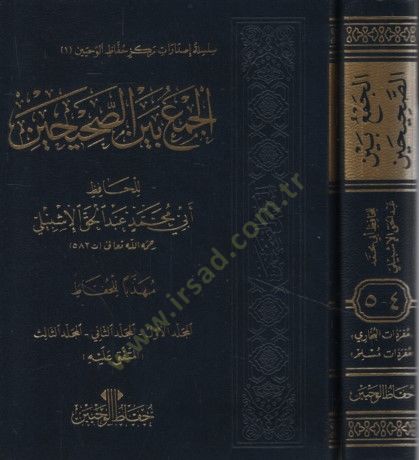 الجامع بين الصحيحين - الجمع بين الصحيحين