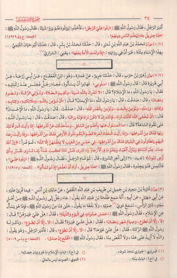 صحيح الإمام مسلم