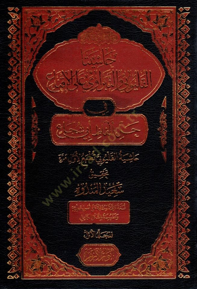 Haşiyetul Kulubi ven Nibravi alal İkna fi Halli Elfazi Ebi Şüca - حاشيتا القليوبي والنبراوي على الإقناع في حل ألفاظ أبي شجاع
