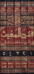فتح المغيث بشرح ألفية الحديث للعراقي - فتح المغيث بشرح ألفية الحديث للعراقي