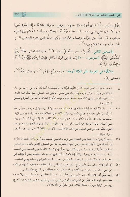 Şurhu Şüzuriz Zeheb fi Marifeti Kelamil Arab - شرح شذور الذهب في معرفة كلام العرب