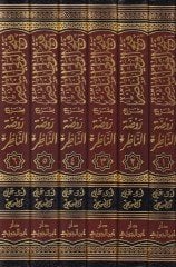 Fethul-Veliyyun-Nasır bi Şerhu Ravdatin-Nazır - فتح الولي الناصر بشرح روضة الناظر