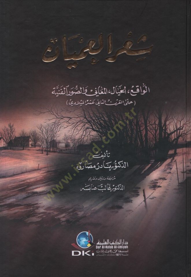 - شعر العميان الواقع الخيال المعاني والصور الفنية حتي الران الثاني عشر الميلادي