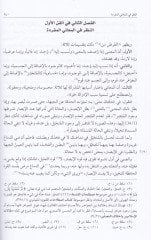 El-Mustasfa min İlmil-Usul  - المستصفى من علم الأصول