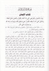 Müsnedu Ebi Avane  - مسند أبي عوانة المسمى المسند الصحيح المخرج على صحيح مسلم