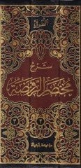 Şerhu Muhtasaru'r-Ravda - شرح مختصر الروضة