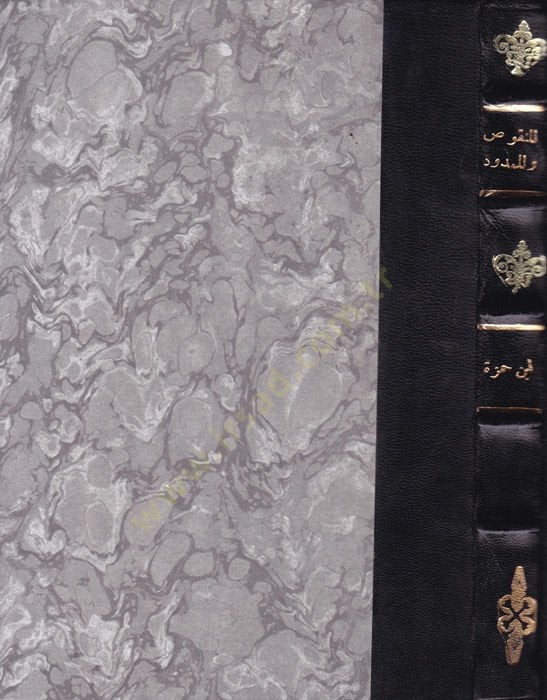 المنكوس والممدود والتنبيهات / أبو القاسم البصري علي ب. حمزة - منقوص والممدود والتنبيهات