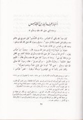 Ahbarüd-Devletil-Abbasiyye ve fihi Ahbaril-Abbas ve Veledihi - أخبار الدولة العباسية وفيه أخبار العباس وولده