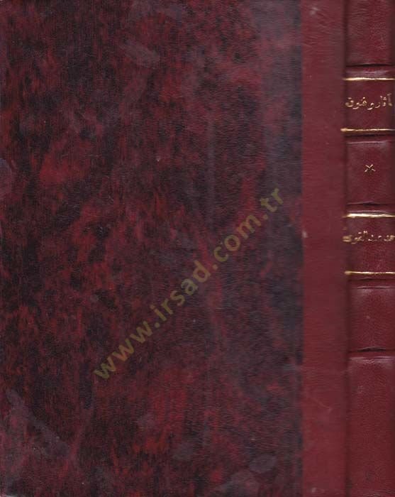 Asar ve Fünunu Medinetil-Behnesa fil-Asril-İslami - آثار وفنون مدينة البهنسا في العصر الإسلامي