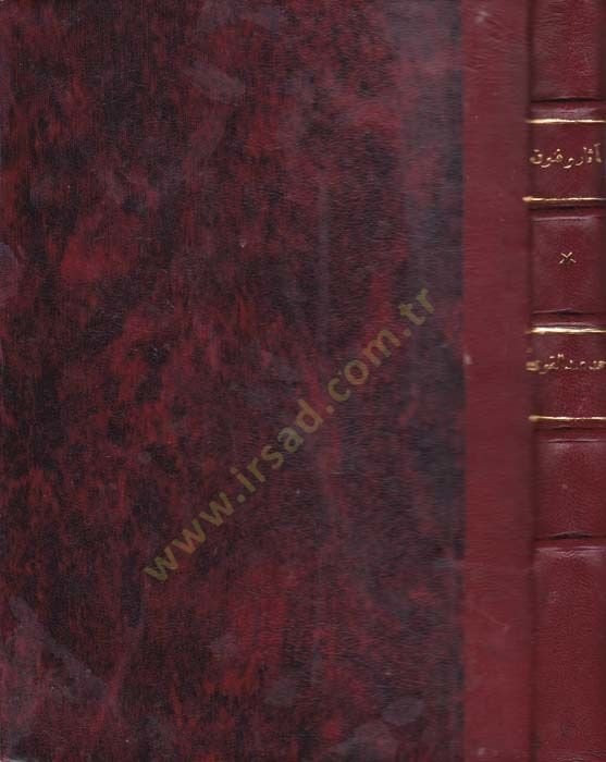 Asar ve Fünunu Medinetil-Behnesa fil-Asril-İslami - آثار وفنون مدينة البهنسا في العصر الإسلامي
