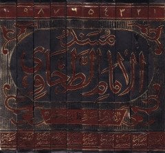 مسند الامام الطحاوي - المفسر الدقيق الطاوي