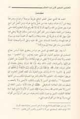 El-Muhtasarü's-Sagir Hilâfiyyât fi'l-Fiqh - المختصر الصغير خلافيات في الفقه