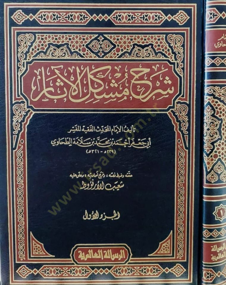 Şerhu Müşkilil-Asar  - شرح مشكل الآثار