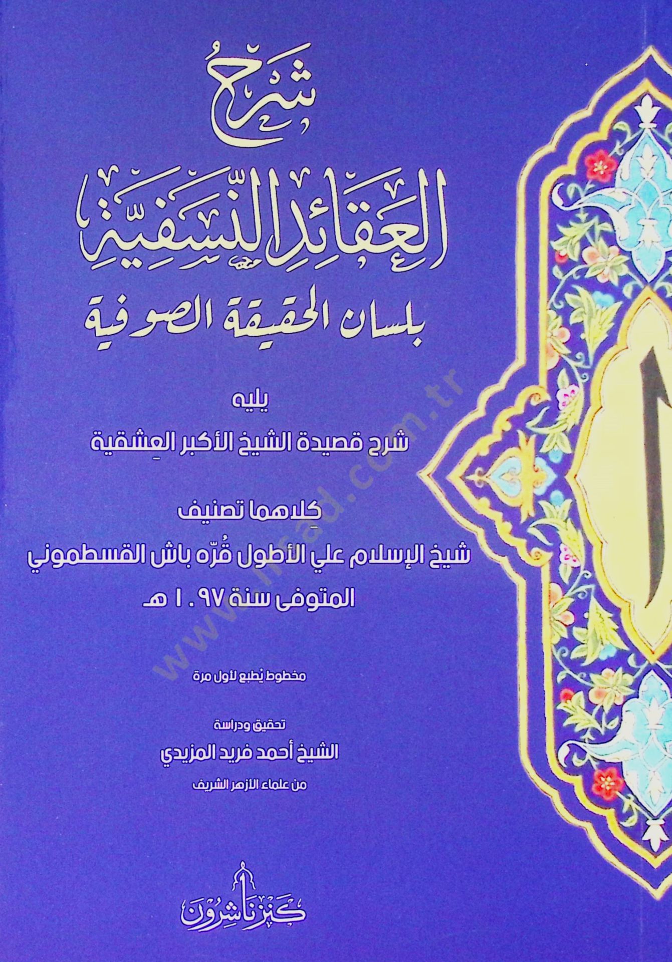 - شرح العقيدة النسفية بلسان الحقيقة الصوفية