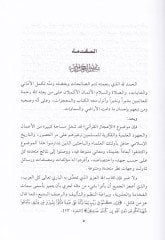 El-Medhalül-Veciz ila Dirasetil-İcaz fil-Kitabil-Aziz - المدخل الوجيز إلى دراسة الإعجاز في الكتاب العزيز