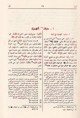 النهاية في غريب الحديث والعصر - النهاية في الحديث الغريب والأثر