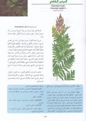 Mucemül-Aşab ven-Nebatatit-Tıbbiyye  - معجم الأعشاب والنباتات الطبية