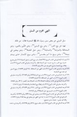 كتاب الأمر والنيهي على المعنى الصافي