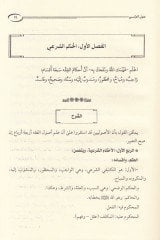 Avnü'l-Veli Şerh Risâleti'l-Akberi fi Usûli'l-Fıkh