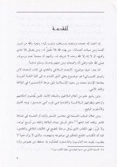 الباحسول البلاجي في النكدي في ابن رشيق الكيرفاني في كتابيه العمدي ني في كتابه العمدة
