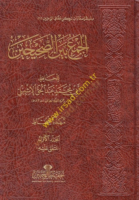 الجامع بين الصحيحين - الجمع بين الصحيحين