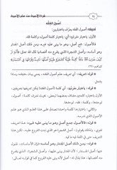 Şerhü'l-Usul min İlmi'l-Usul - شرح الأصول من علم الأصول