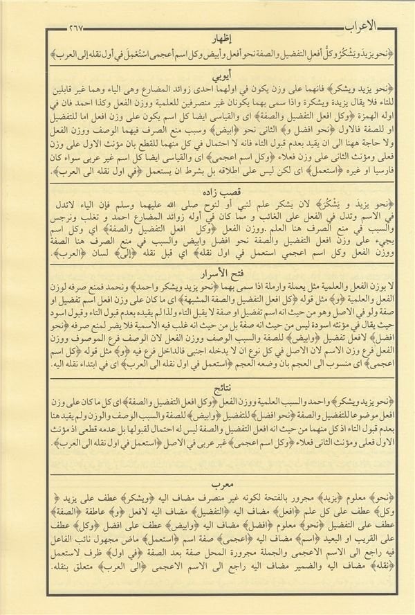 Şuruhu'l - İzhar Eyyübi – İzhar Metni | شروح الإظهار ويحتوي على ستة كتب