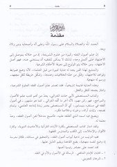 El-Mustasfa min İlmil-Usul  - المستصفى من علم الأصول