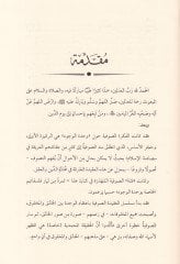 Rüyetün-Nebi (S.A.V.) Bade Mevtihi Yakaza beynel-Usuliş-Şeriyye vel-Akaidis-Sufiyye - رؤية النبي صلى الله عليه وسلم بعد موته يقظة بين الأصول الشرعية والعقائد الصوفية