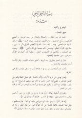 El-Mebahisü'l-Belagiyye fi Dav'i Kadıyyeti'l-İ'cazi'l-Kur'ani