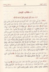 مختصر صحيح مسلم