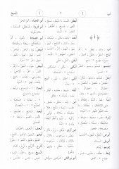 Es-Siracül-Veciz Mucem lil-Müteradifat vel-İbaratil-Istılahiyye vel-Azdadil-Arabiyye - السراج الوجيز معجم من المترادفات والعبارات الإصطلاحية والأضداد العربية