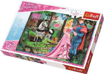 Trefl Puzzle Princess Meeting In The Forest 200 Parça Yapboz