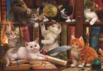 Anatolian Puzzle Kediler ve Kitaplar 500 Parça Puzzle