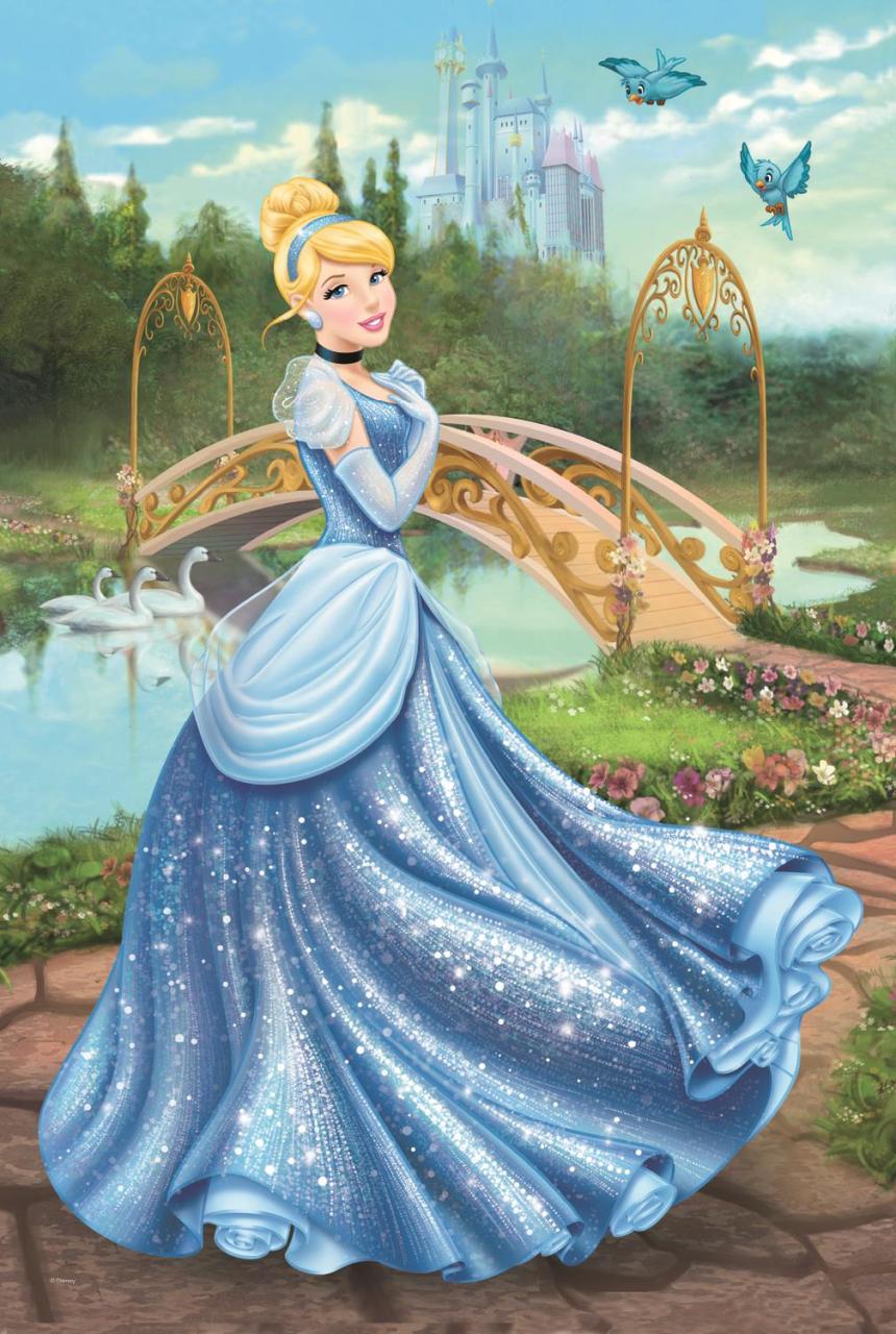 Trefl Puzzle Princess Enchanted Dress 260 Parça Yapboz