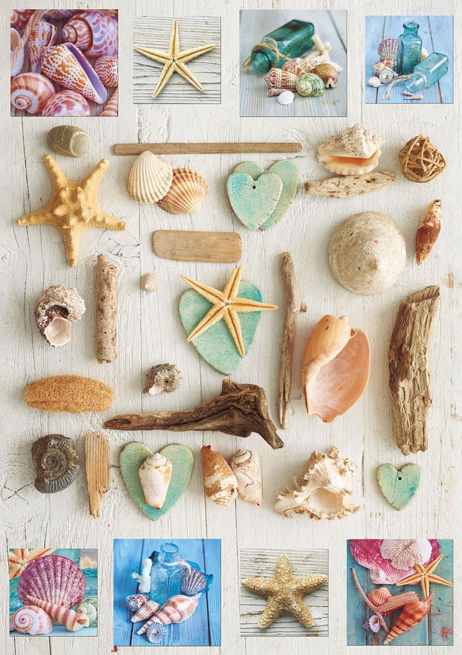 Educa Puzzle Seashell Collage 1000 Parça Puzzle