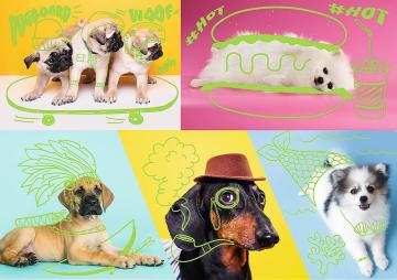 Trefl Puzzle Far Out Dogs 1000 Parça Neon Puzzle