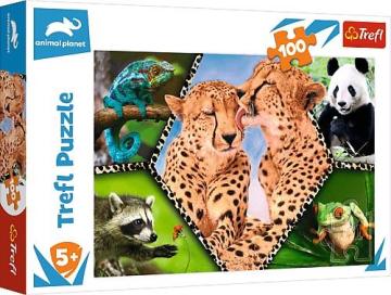 Trefl Puzzle Beautıful Nature 100 Parça Puzzle