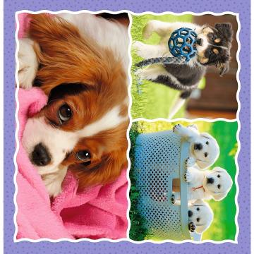 Trefl Puzzle Lovely Dogs 3 in 1 Çocuk Puzzle (20+36+50 Parça)