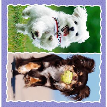 Trefl Puzzle Lovely Dogs 3 in 1 Çocuk Puzzle (20+36+50 Parça)