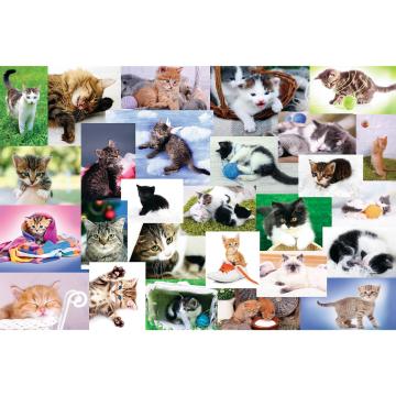Trefl Çoçuk Puzzle Cat's World 60 Parça Puzzle