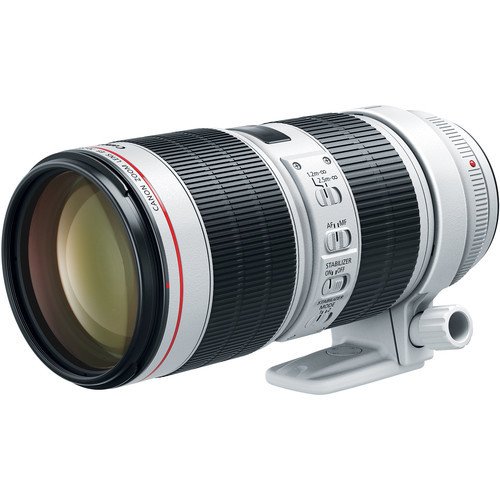 Canon EF 70-200 mm F/2.8L IS III USM Telefoto Zoom Lens