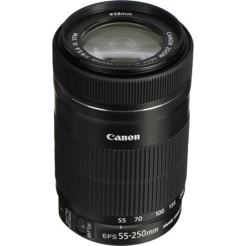 Canon EF-S 55-250 mm F/4-5.6 IS STM Telefoto Zoom Lens